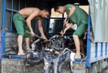 Đường đi của hàng lậu rộng thênh thang